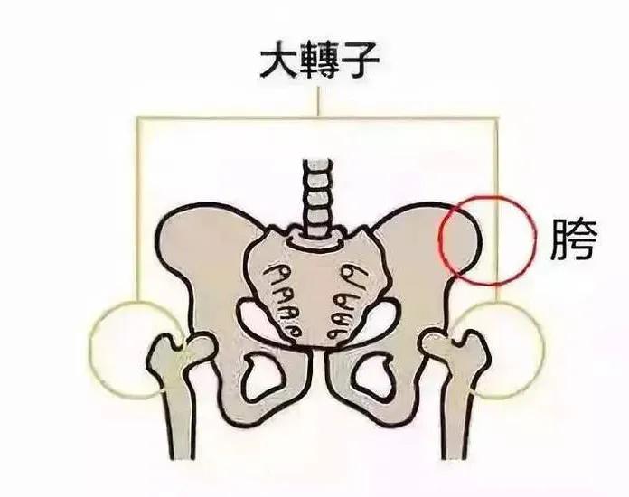 五个动作帮您缓解耻骨联合分离痛,消除假胯宽