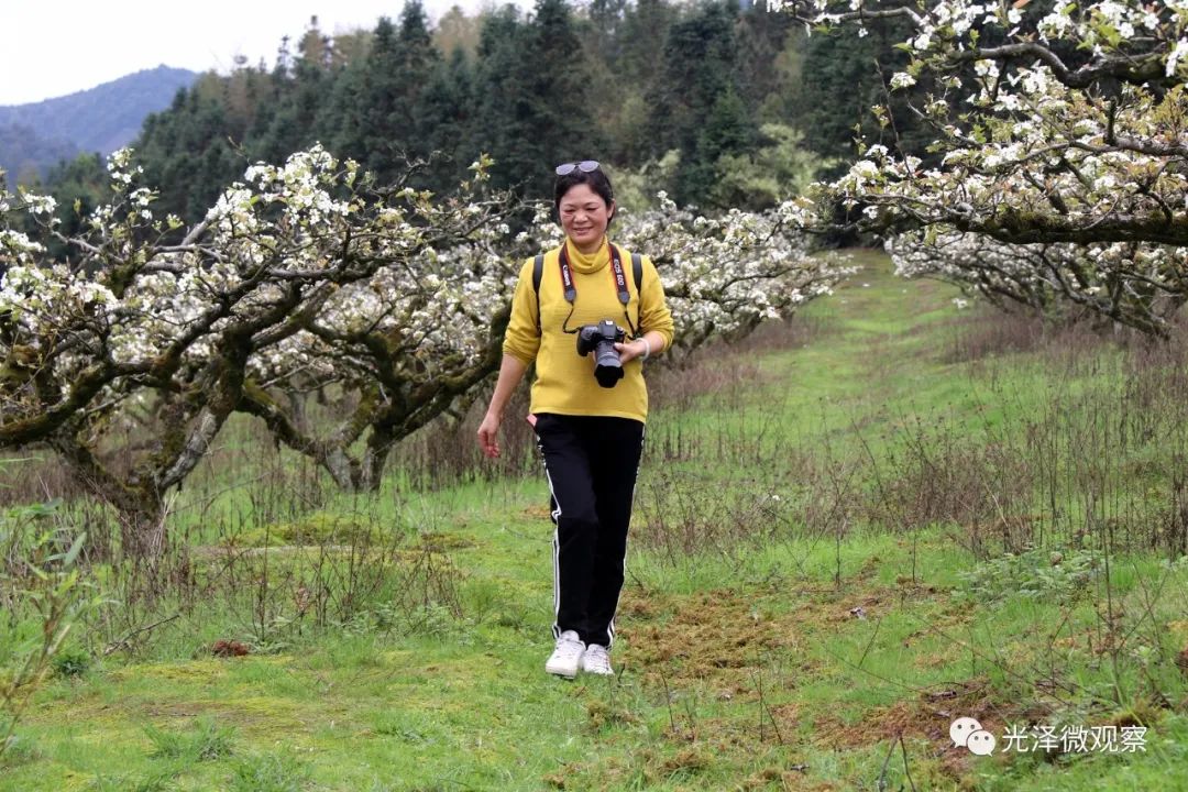 福建光泽管蜜千亩梨花盛开_李坊乡