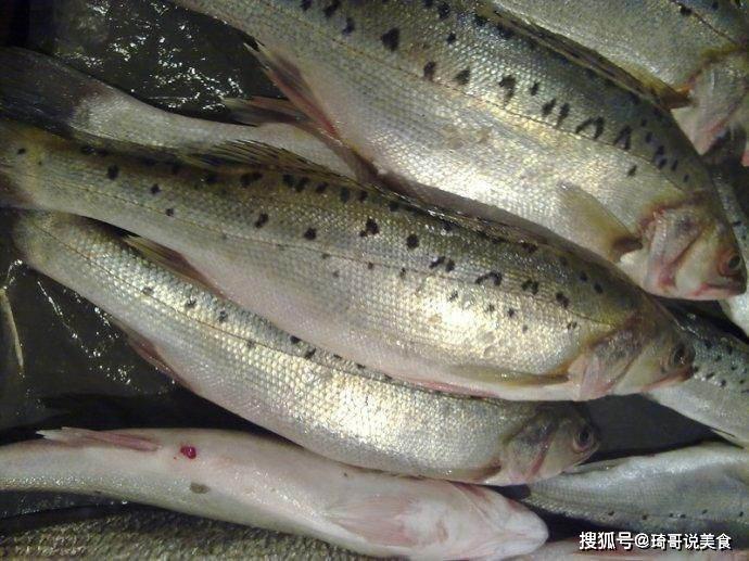 减脂期怎么吃一条鲈鱼 5a70a3366e264e61a97be7b1ee1b13f4.jpeg