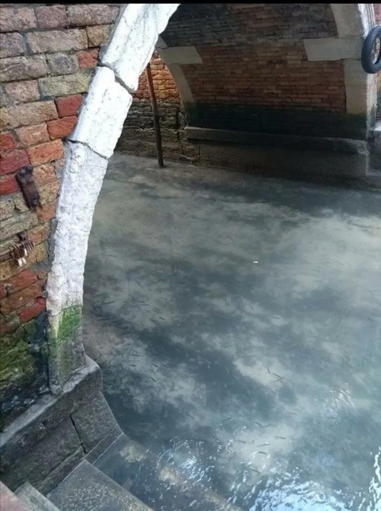 疫情导致的“副作用”，已经出现了！