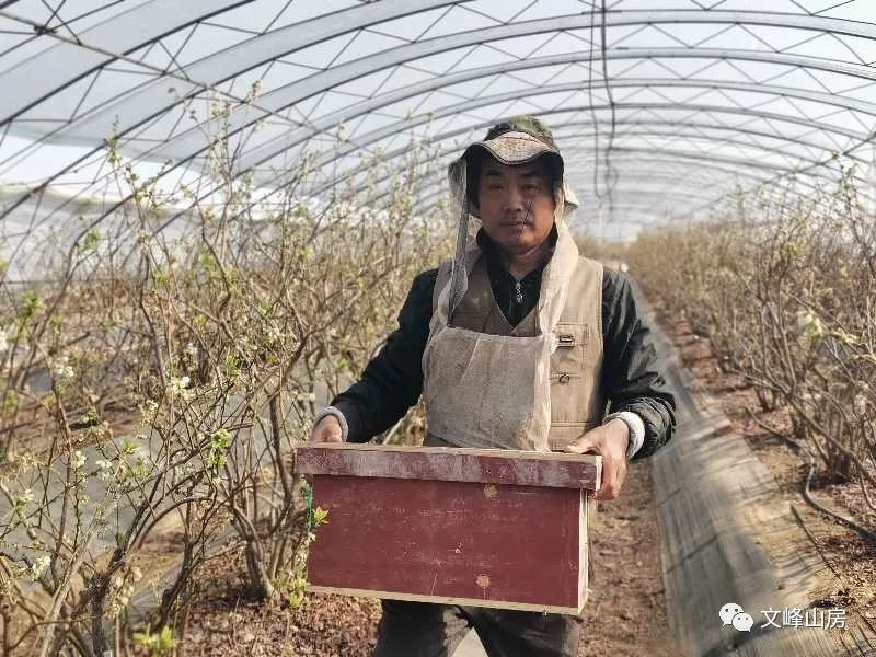 日照放蜂人孙衍荣的甜蜜生活