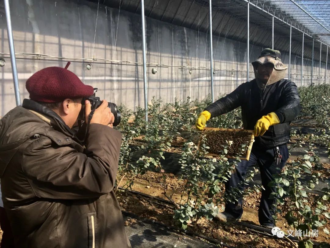 日照放蜂人孙衍荣的甜蜜生活