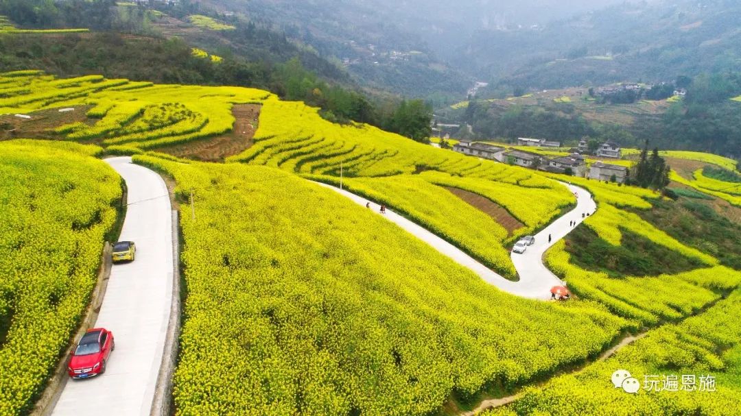 来恩施朝东岩下清江河畔 看梯田油菜花海