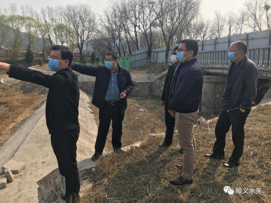 马卫国踏查指导龙湾屯镇双源湖公园绿化工作