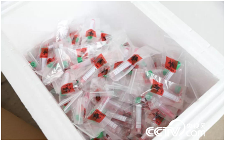 中国：我在武汉29天，见证中国基建攻坚战疫