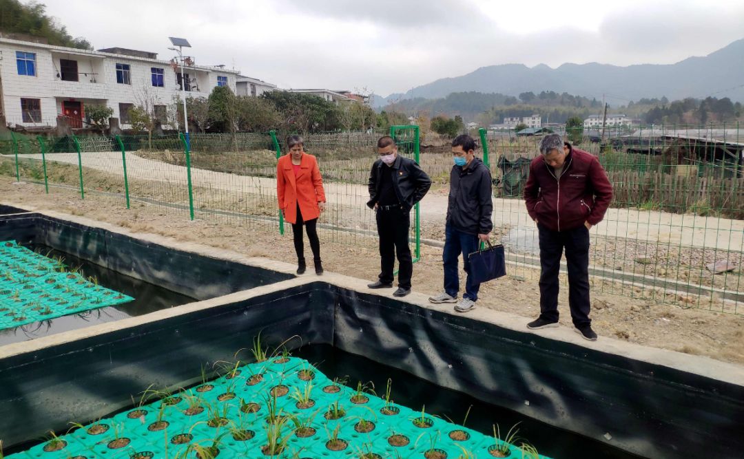 明溪县人口多少_明溪县实验小学洪子桐(2)