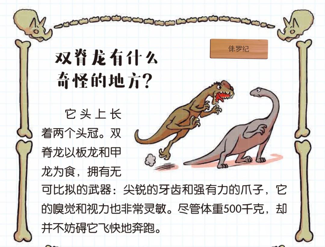 阅读的力量 | 上海辞书出版社带您聆听科普小 《恐龙大》