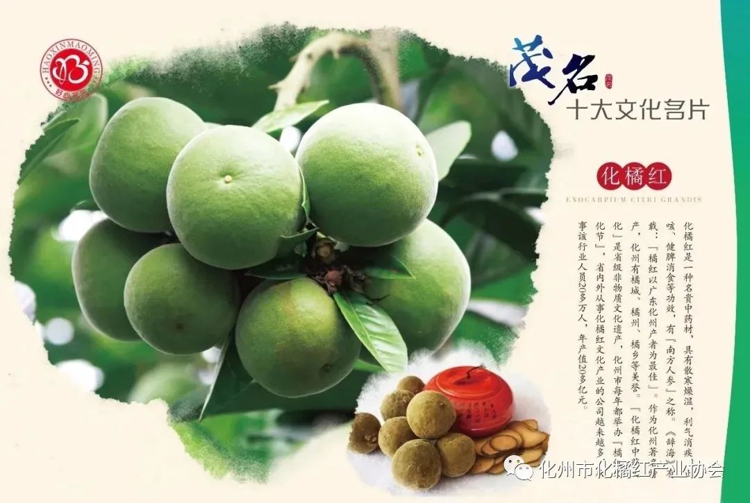79c476a6ca914ead9ca39cd8085fc0c3.jpeg