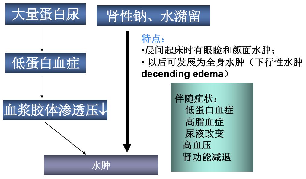 沈潞华教授心源性水肿的诊断与鉴别诊断