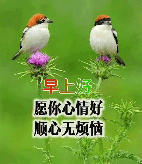 2020ƯϺʺ̬ͼƬ ƯϺö̬ͼƬ