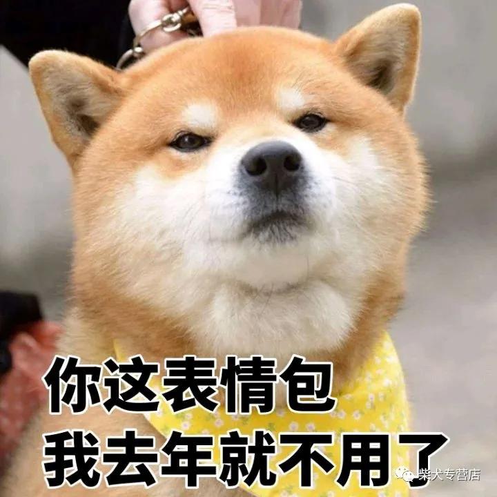 柴犬萌贱表情包,主人你的脑洞也太大了吧?