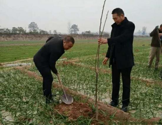 杞县苏木乡苏木村有多少人口_杞县苏木乡核桃园村