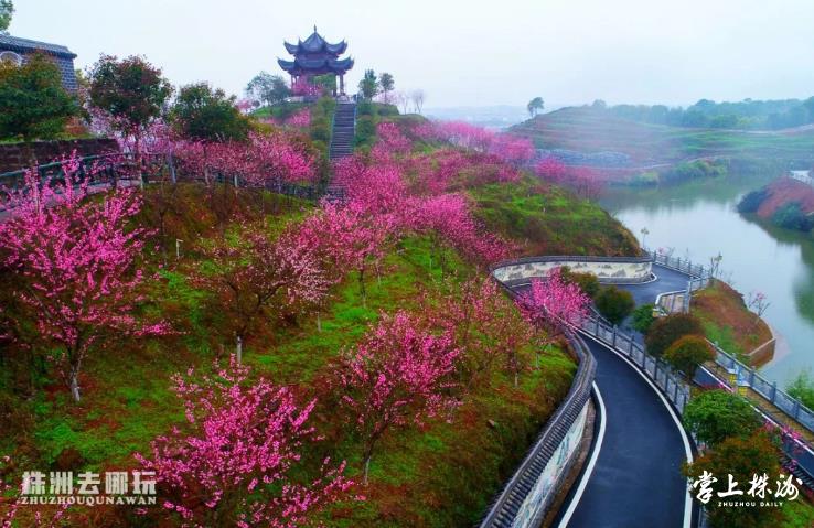 清水湾畔景区位于株洲醴陵市船湾镇清水江村,地处湘赣边界,风景优美