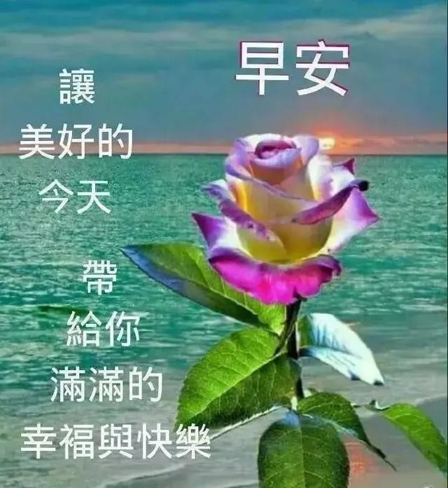 大家怎么说早安 af25787559044e31b0af6e9a663267d0.jpeg