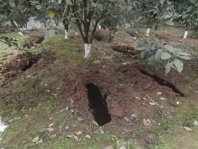 baf95dbaba934ef5a627352098daa9b9.jpeg