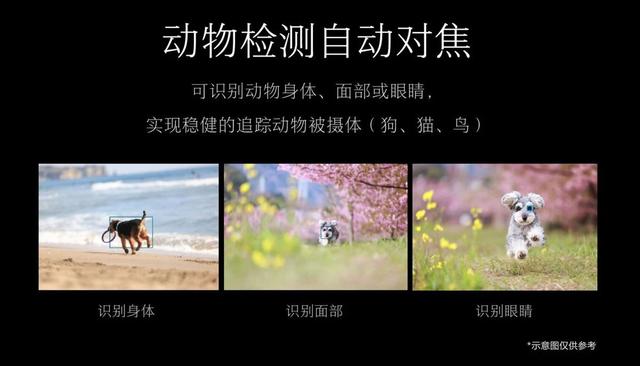 佳能全画幅新品EOS R5 8K视频拍摄功能强大