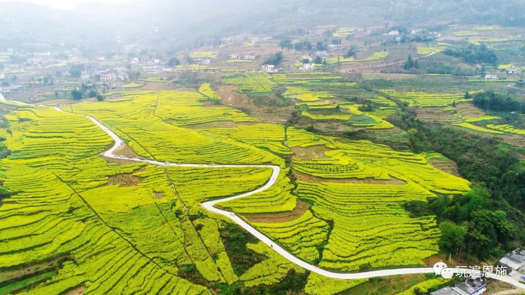 来恩施朝东岩下清江河畔 看梯田油菜花海