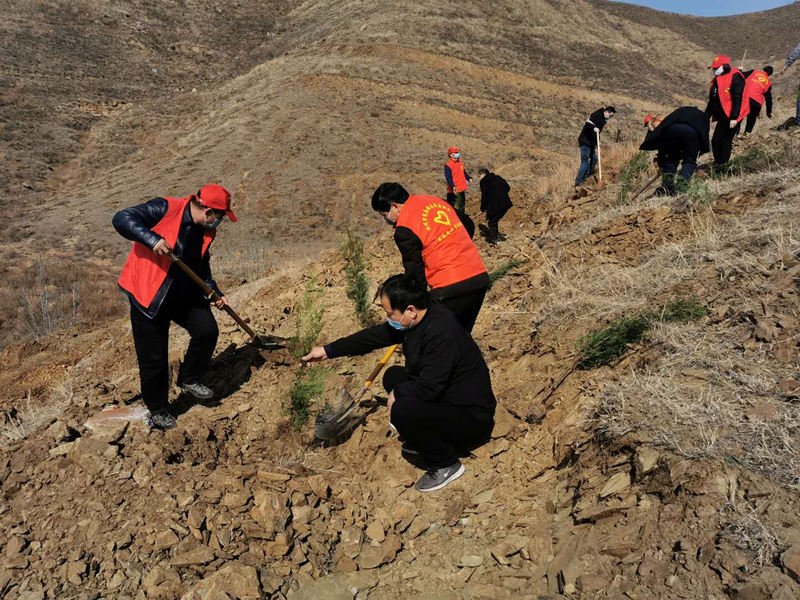 种树就是种幸福汝州市植树节热闹非凡