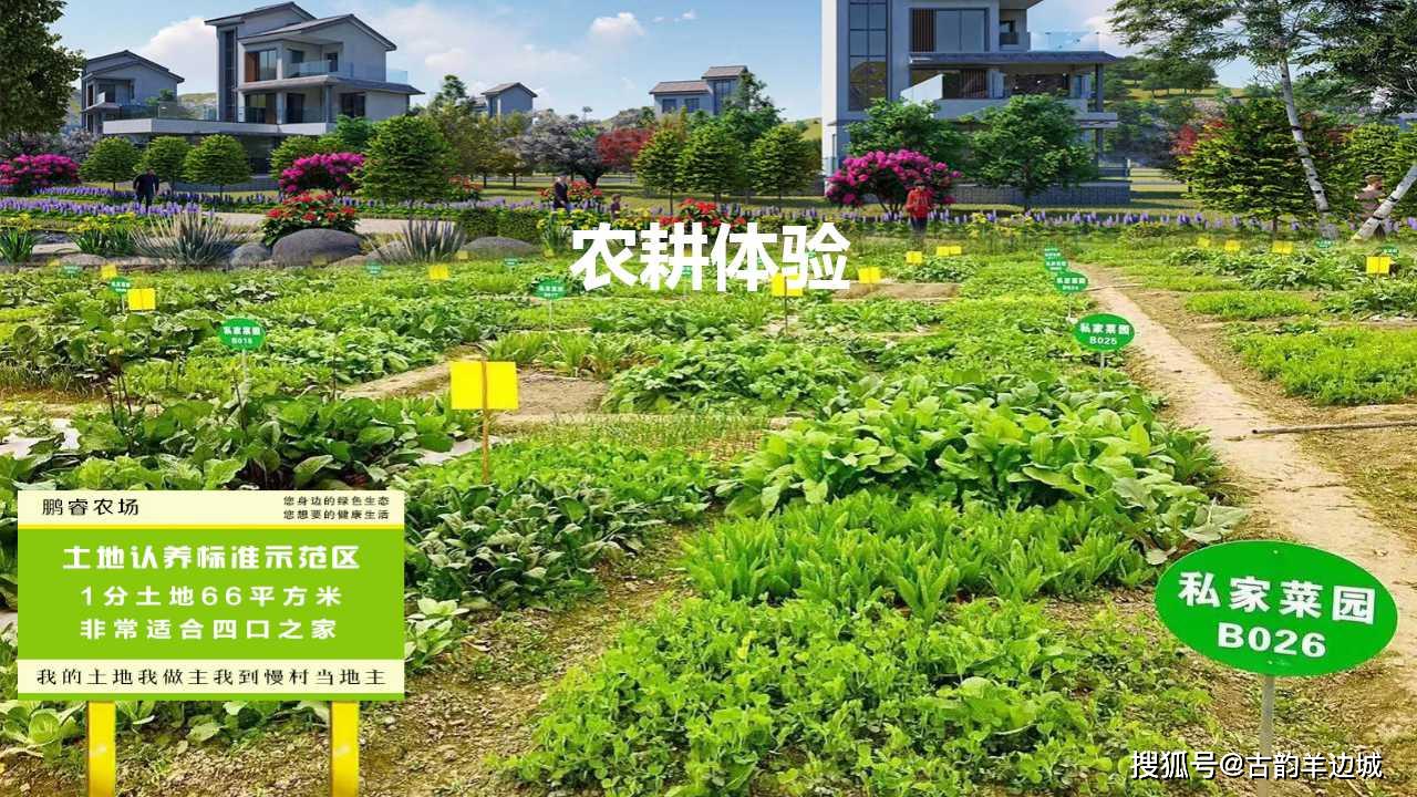 休闲农业