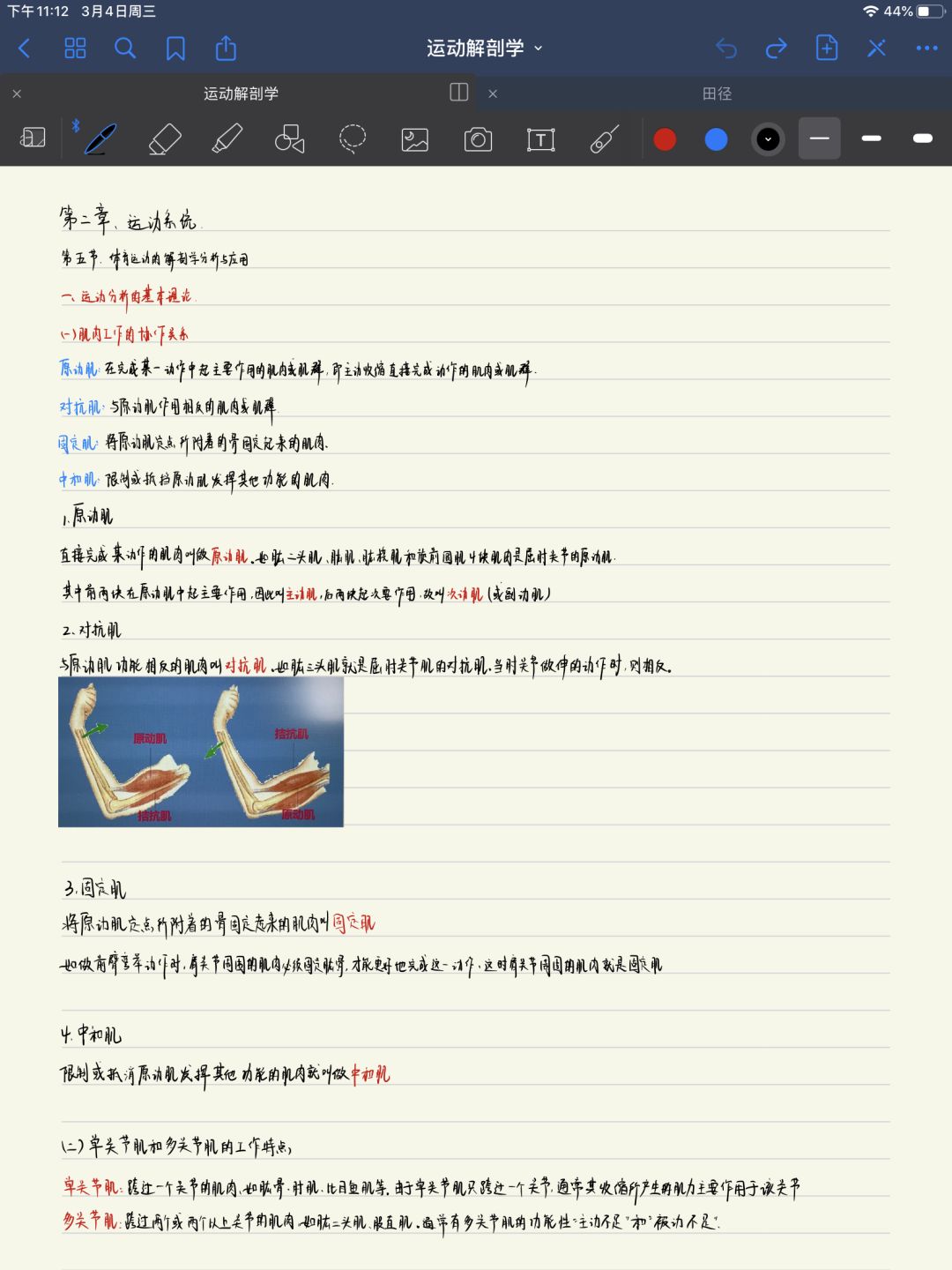 d1849e27a4fb46828ff07f6e8ea97aa1.jpeg