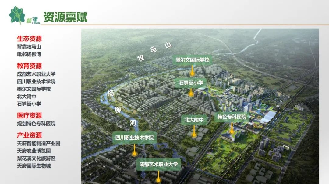 新津县2020GDP_新津县2020年后规划图(2)