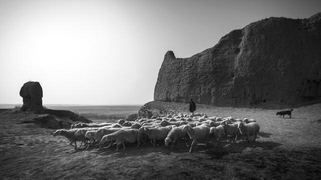 明朝蒙汉缓冲地,烧荒276年,实际是当时的边界线