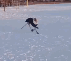 232_200gif 动态图 动图