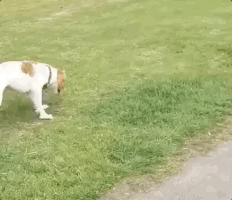 232_200gif 动态图 动图