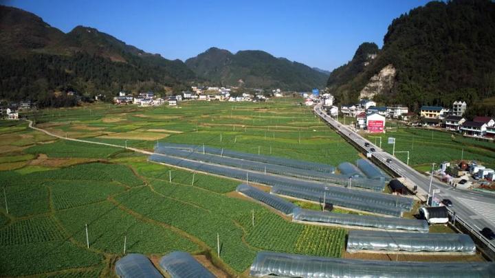 绥阳县旺草大坝 坚持精准定位,突出因地制宜 抓好坝区产业选择