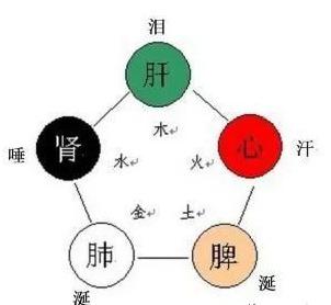 心为汗,肺为涕,肝为泪,脾为涎,肾为唾,从五液看五脏健康