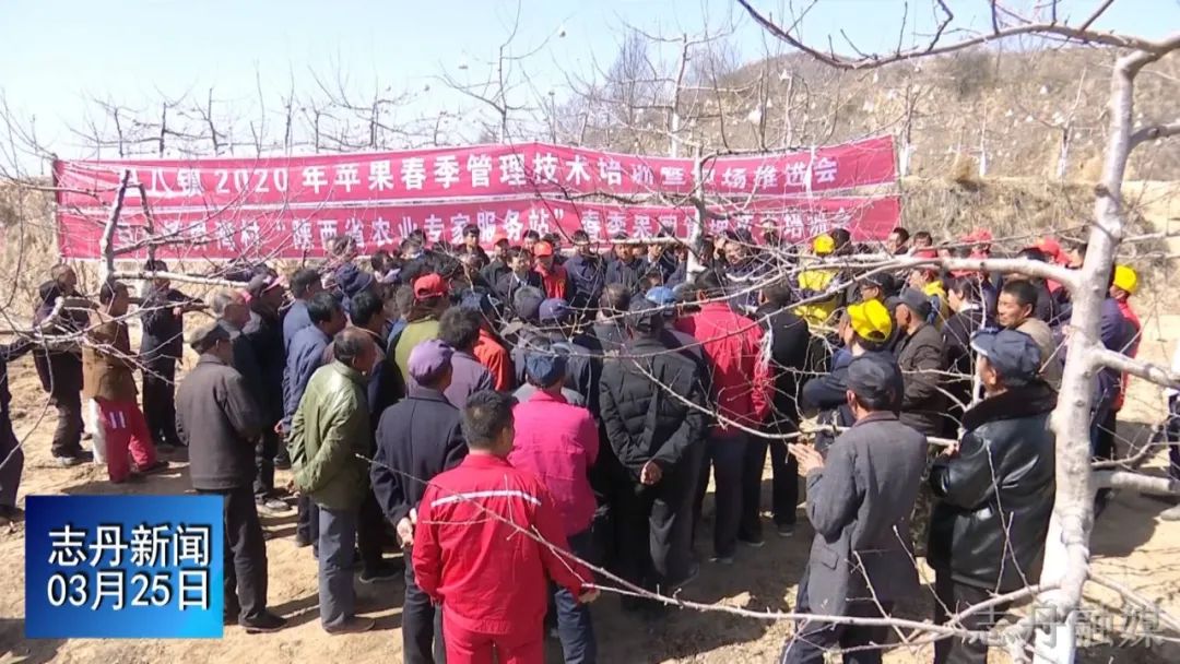 同期声:志丹县旦八镇界湾村党支部书记,志愿者 刘志晨(今天咱们旦八镇