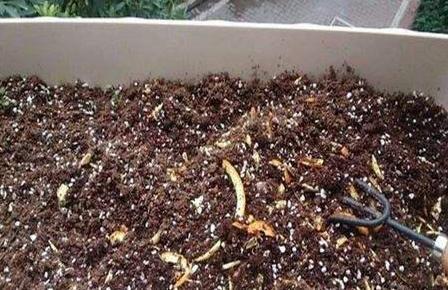 ff8b16ec83f74c8787aa2d0be91d30d2.jpeg