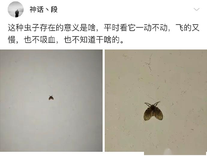 为啥大家都不爱嗑异性恋cp