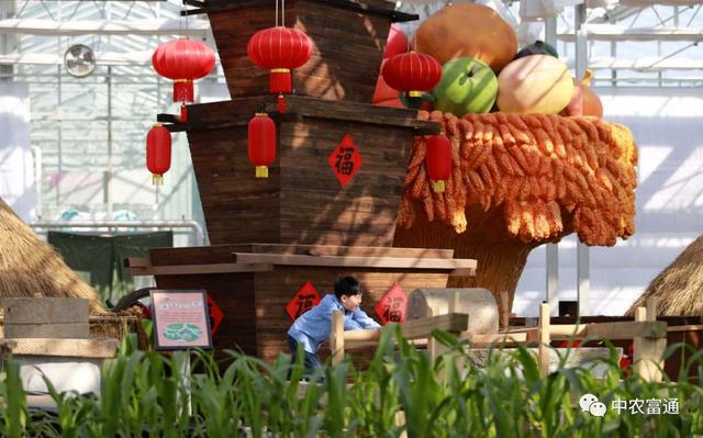 【权开云体育 Kaiyun.com 官网入口威解答】疫情下休闲农业得到这些政策支持！(图2)