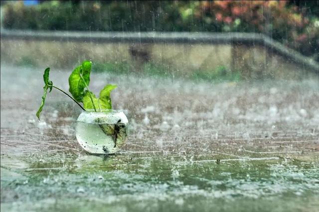 下雨降温不停歇近期天气不太平