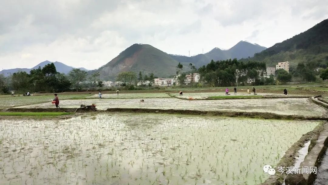 岑溪人口数_岑溪东山公园