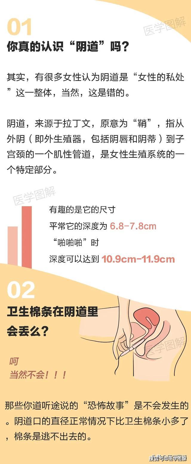 关于阴道的10个秘密，第一个就让你大跌眼镜！丨医学图解-搜狐大视野-搜狐新闻