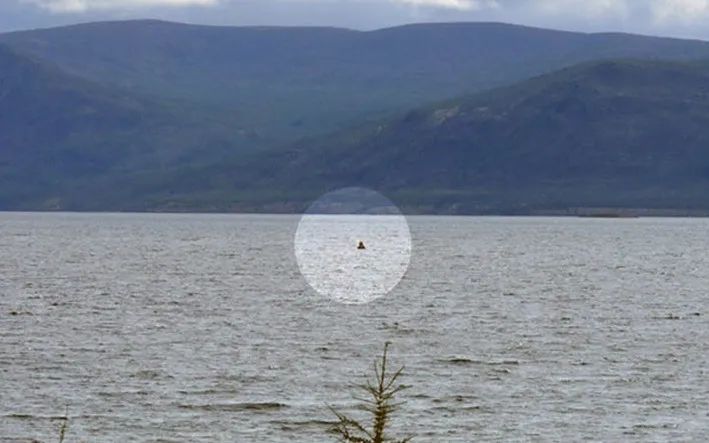 原创又一湖泊有水怪现身专家在俄拉比凯尔湖内发现庞大生物长7米