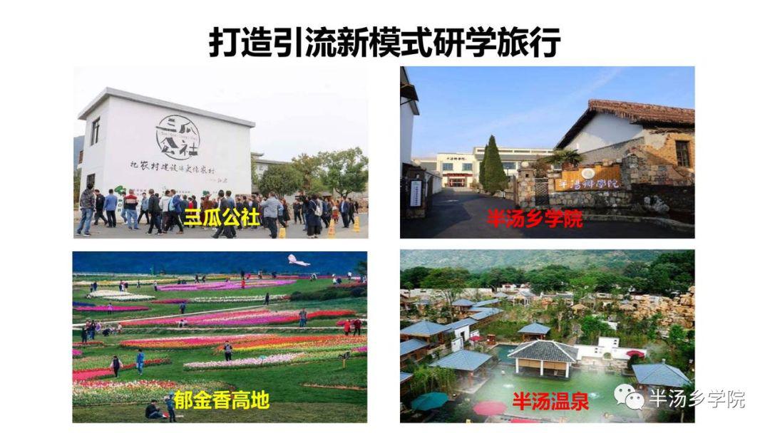 打造由三瓜公社,半汤乡学院,郁金香高地,半汤温泉4位一体的模式,来做