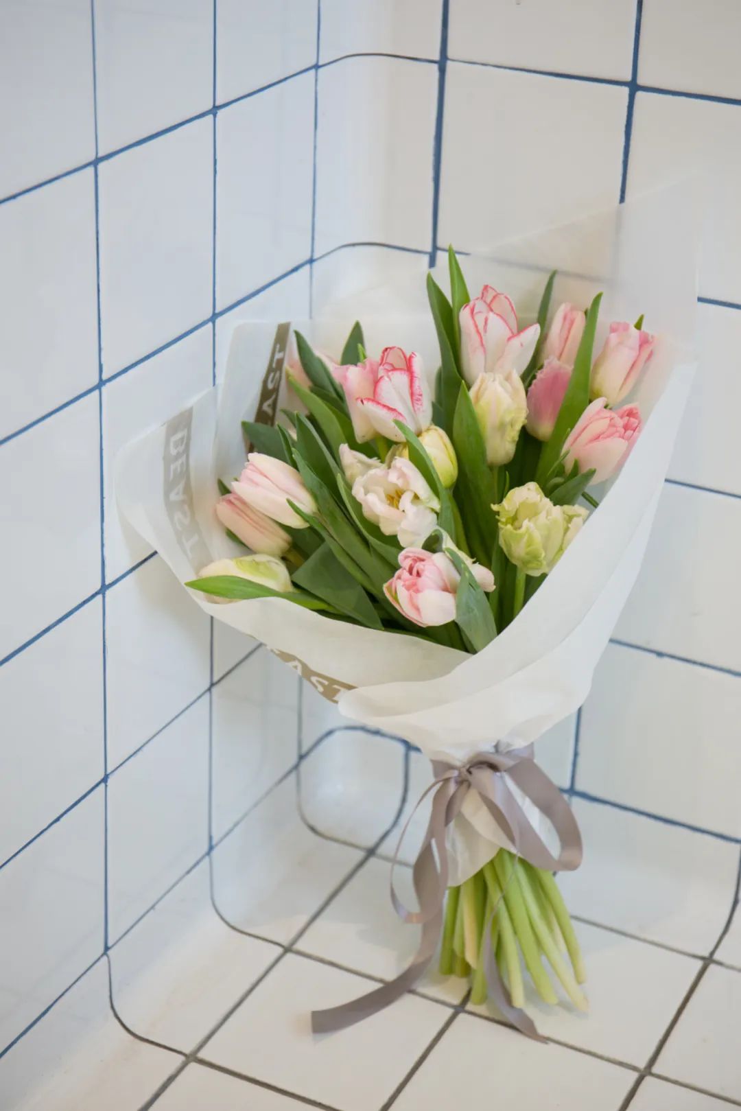 荷兰郁金香销毁数百万，这束请珍惜_搜狐网