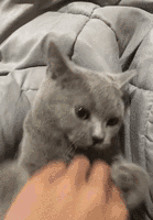 139_200gif 动态图 动图