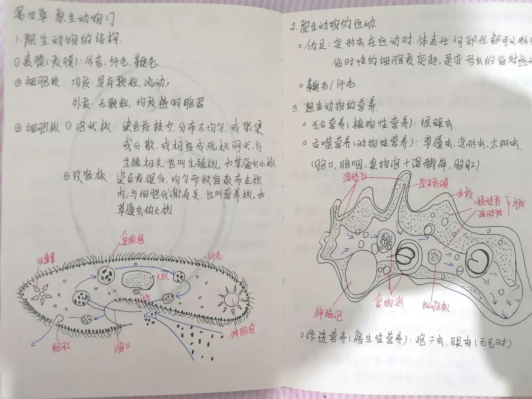 【生命 | 活动】2019级本科生笔记展示