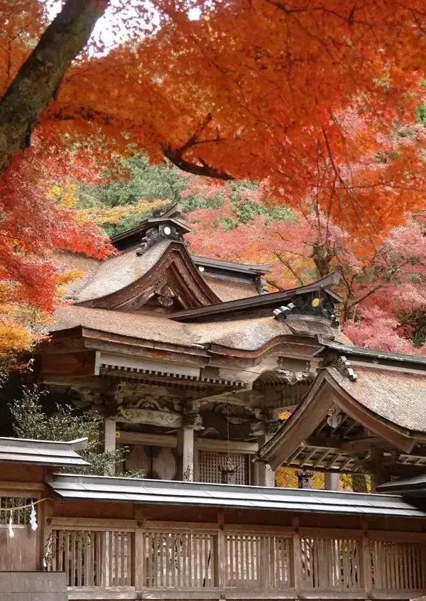 日本建筑唐门