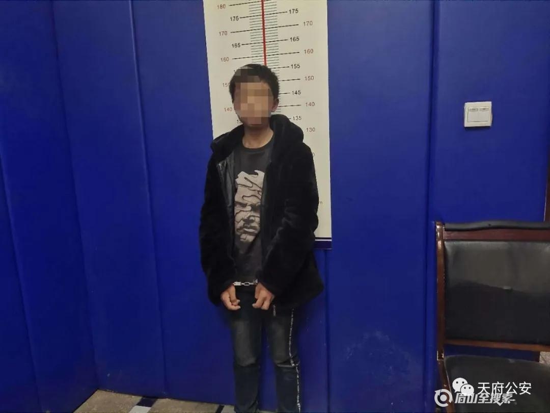 盗窃犯罪嫌疑人李某(14岁,视高街道人)