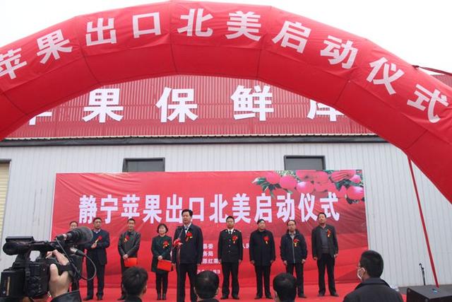 静宁有多少人口_静宁苹果图片