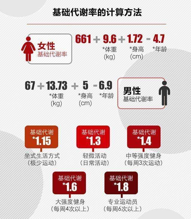 减肥期间一天吃多少热量 5324d569fbe84f4196c7c66d31a8b938.jpeg