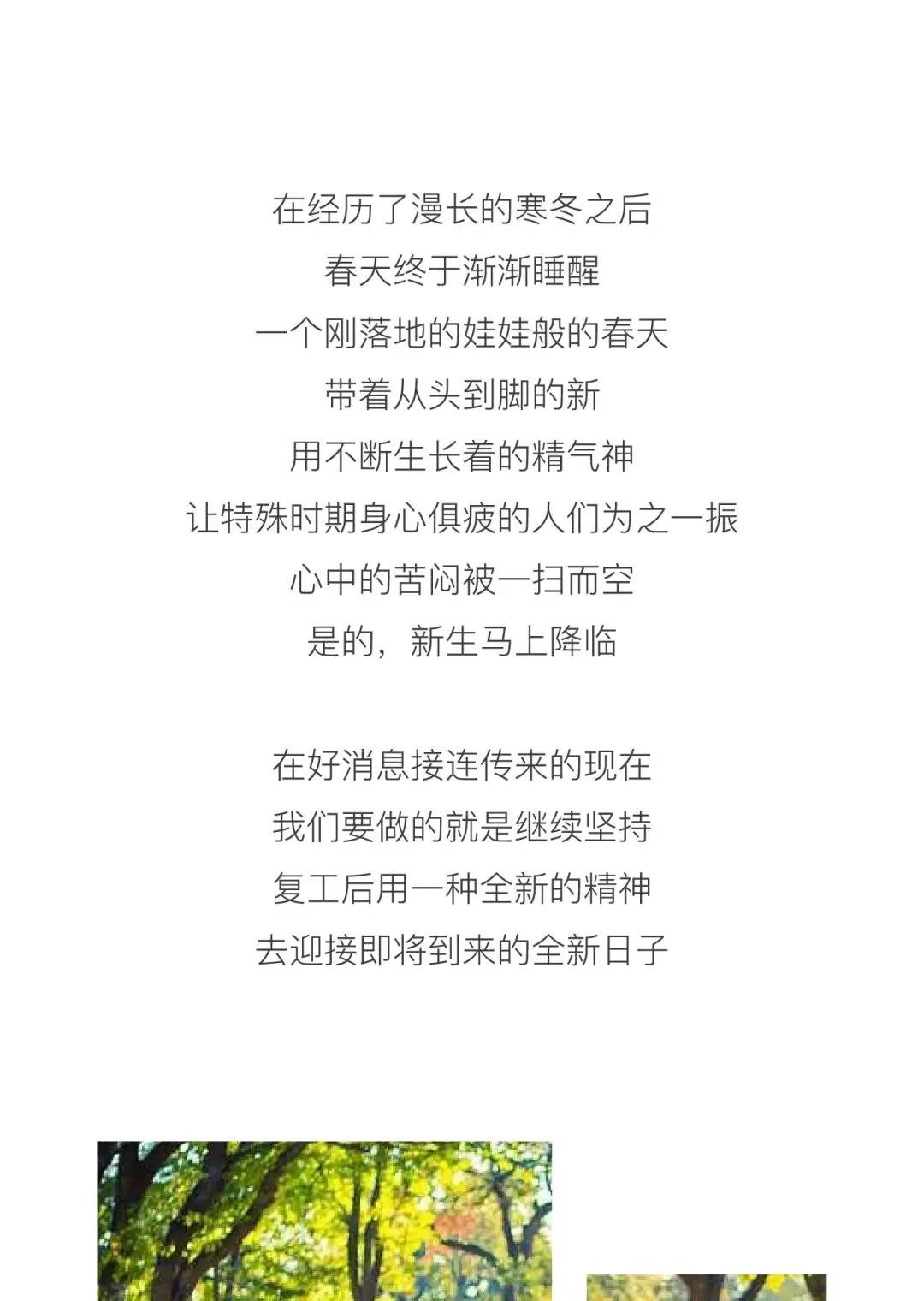 56d72eebb2ad4696996bc14e3f1522c8.JPG