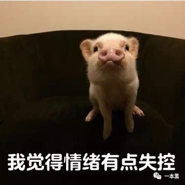 原创关于“0号病人”，任何没有证据的猜测，都是阴谋论