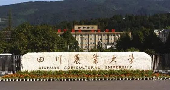 【大学】关注！四川最好的10所大学！附省内126所高校录取分数排名