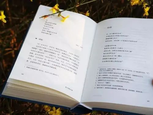 什么是现实主义写法 6b58c217bb014fc7be9efff8f2c78ac0.jpeg